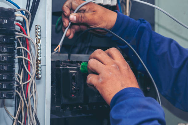 Best Electric Panel Repair  in Galls, IN